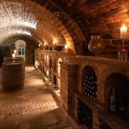 - - S Vinným Sklepem Venuše Hotel 3*