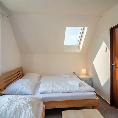 Hotel - - S Vinnym Sklepem Venuse 3*