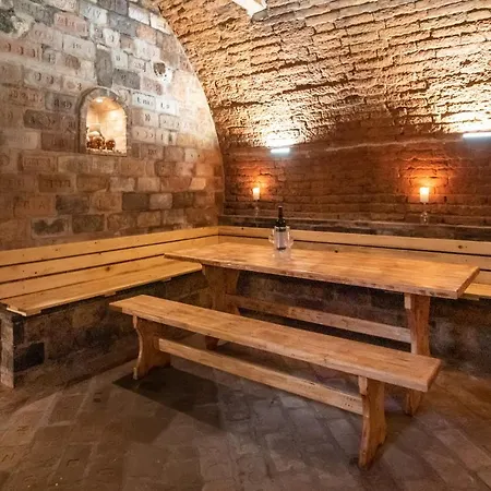 - - S Vinným Sklepem Venuše Hotel Mikulov