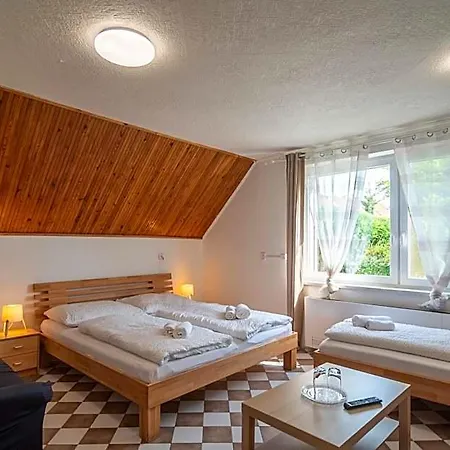 - - S Vinným Sklepem Venuše Hotel
