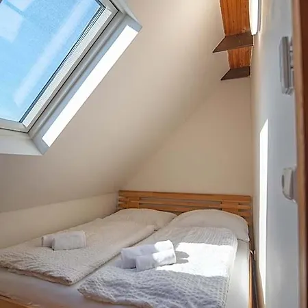 - - S Vinnym Sklepem Venuse Mikulov