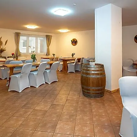 Hotel - - S Vinnym Sklepem Venuse
